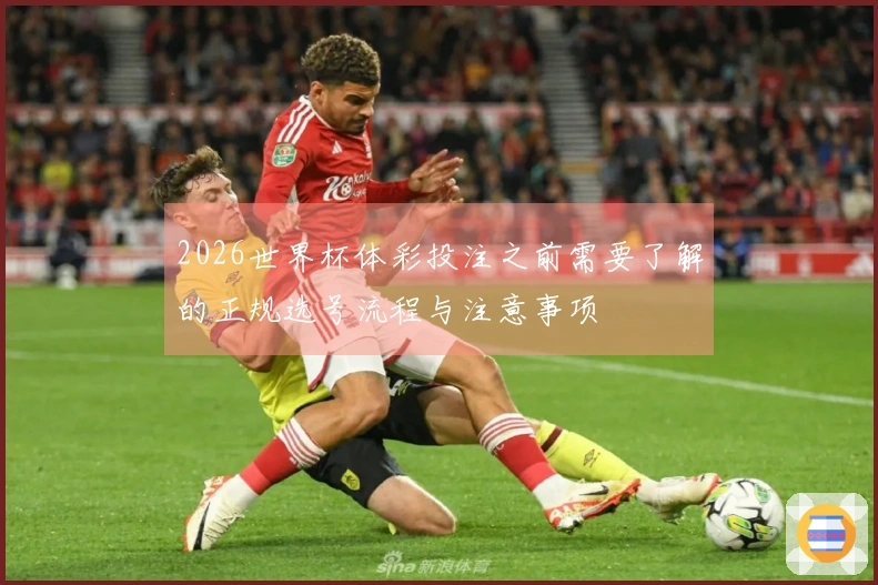 2026世界杯体彩投注之前需要了解的正规选号流程与注意事项